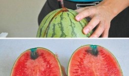 澳门吃瓜免费,免费吃瓜，畅享地道风味